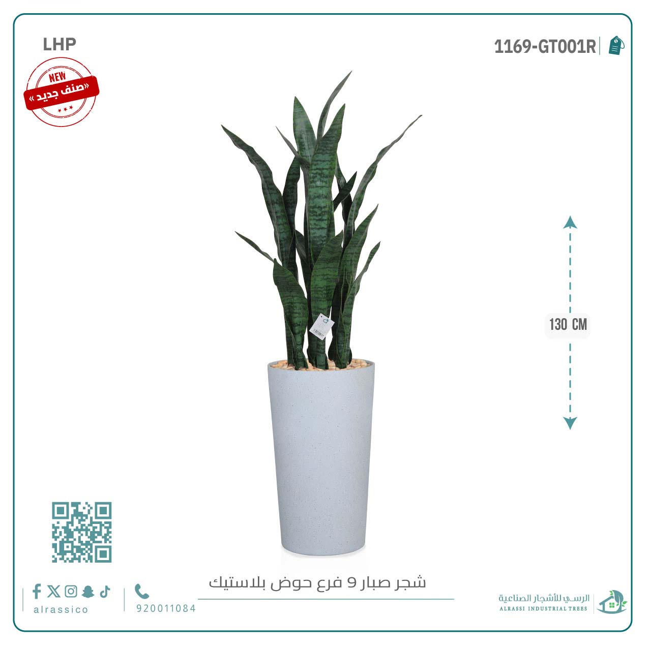  صبار جلد النمر أخضر ب9 فروع 