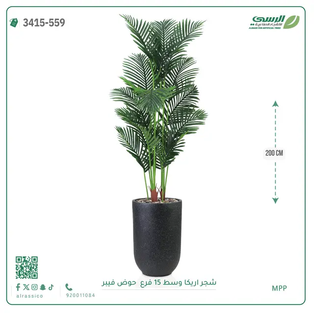  شجرة أريكا صناعية 15 فرع (ارتفاع 200 سم) حوض فيبر 