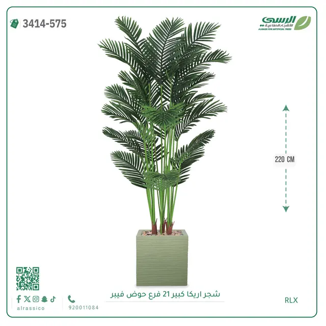  شجرة أريكا صناعية 21 فرع (ارتفاع 220 سم) حوض فيبر 