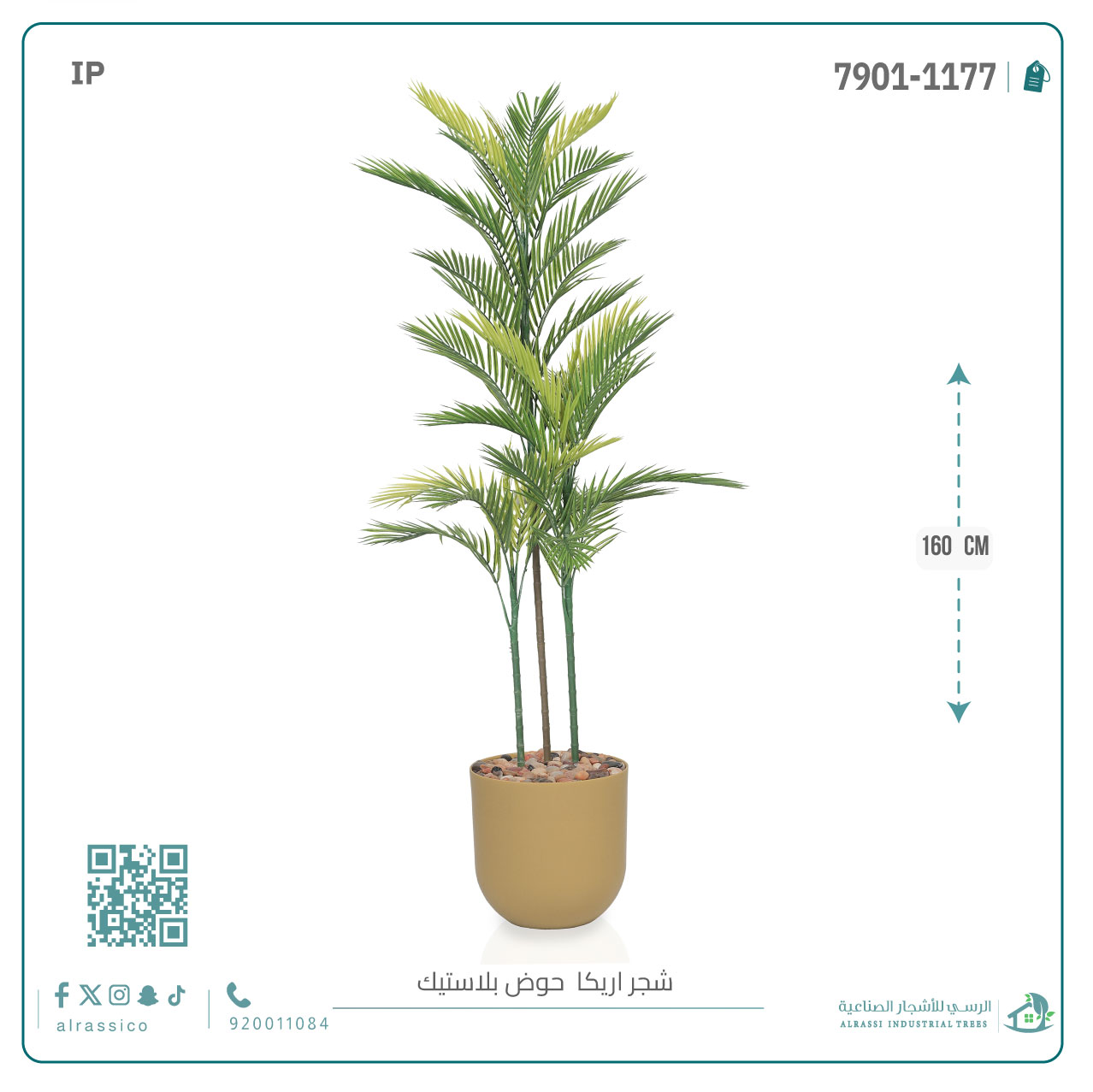  نخلة أريكا صناعية ( ارتفاع 160 سم ) حوض بلاستيك أسطواني 
