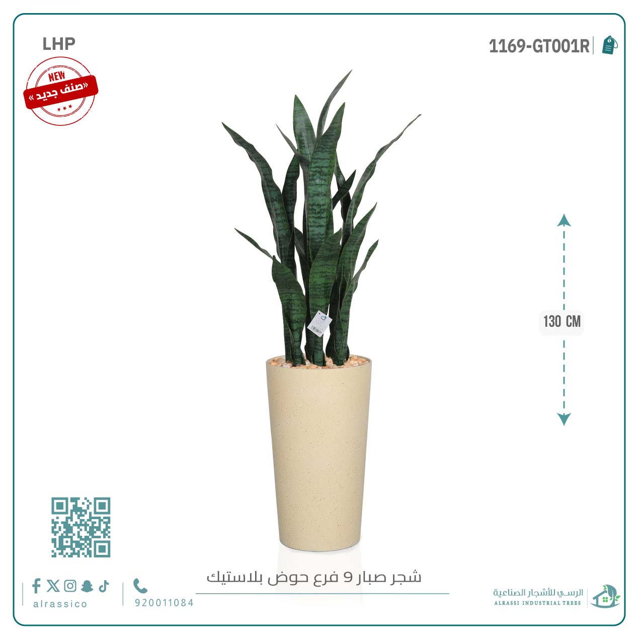  صبار جلد النمر أخضر ب9 فروع 