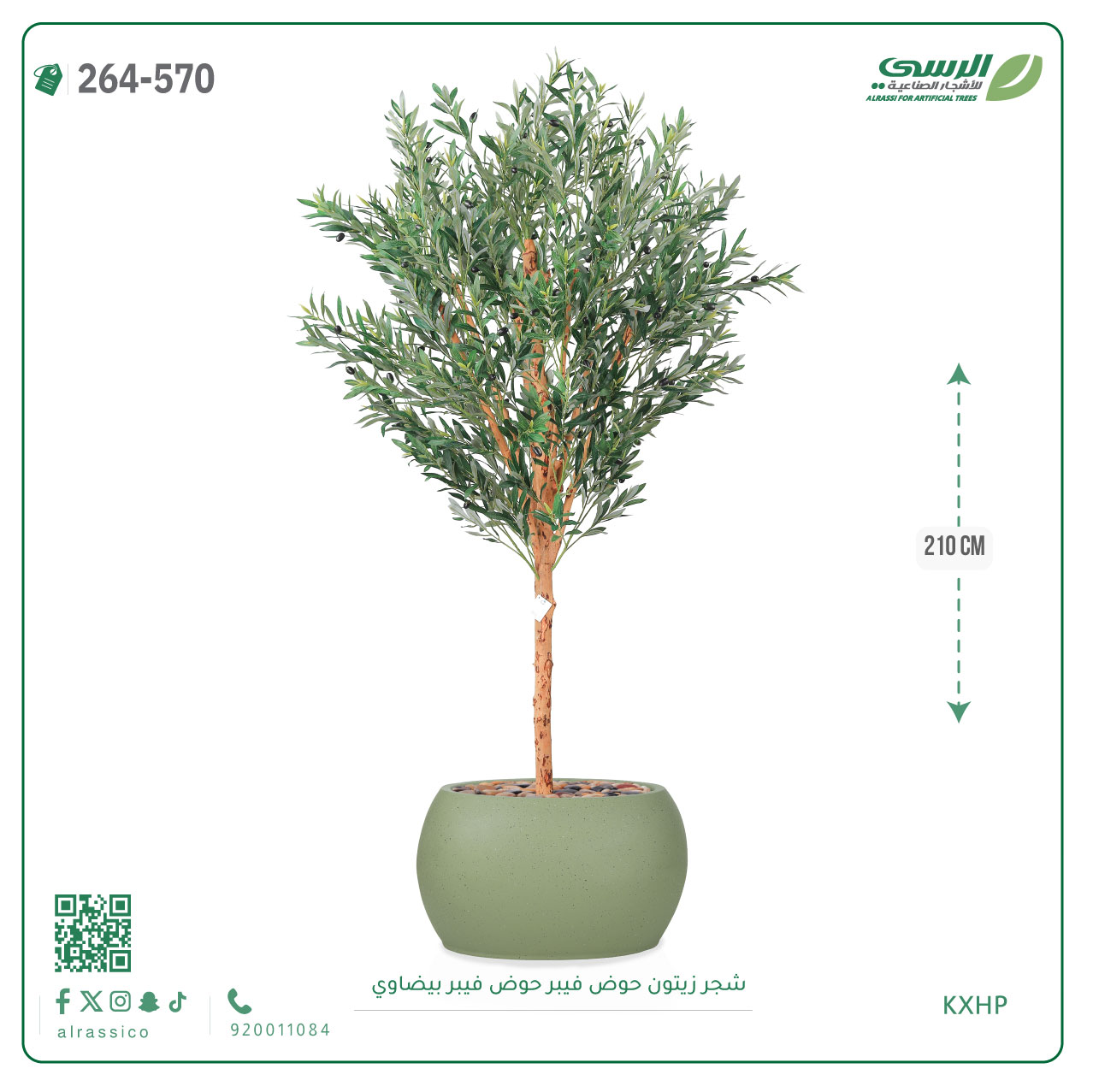  شجرة زيتون اصطناعية ( ارتفاع 210 سم ) حوض فيبر بيضاوي 