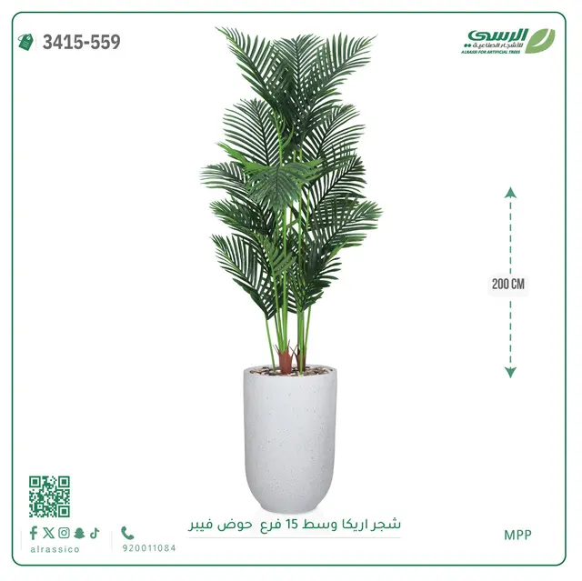  شجرة أريكا صناعية 15 فرع (ارتفاع 200 سم) حوض فيبر 
