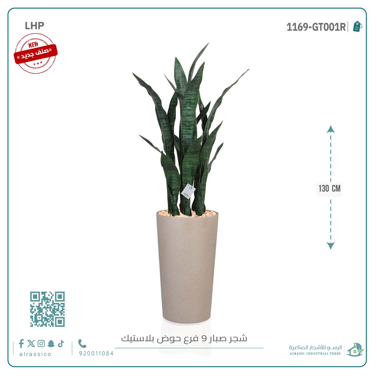  صبار جلد النمر أخضر ب9 فروع 