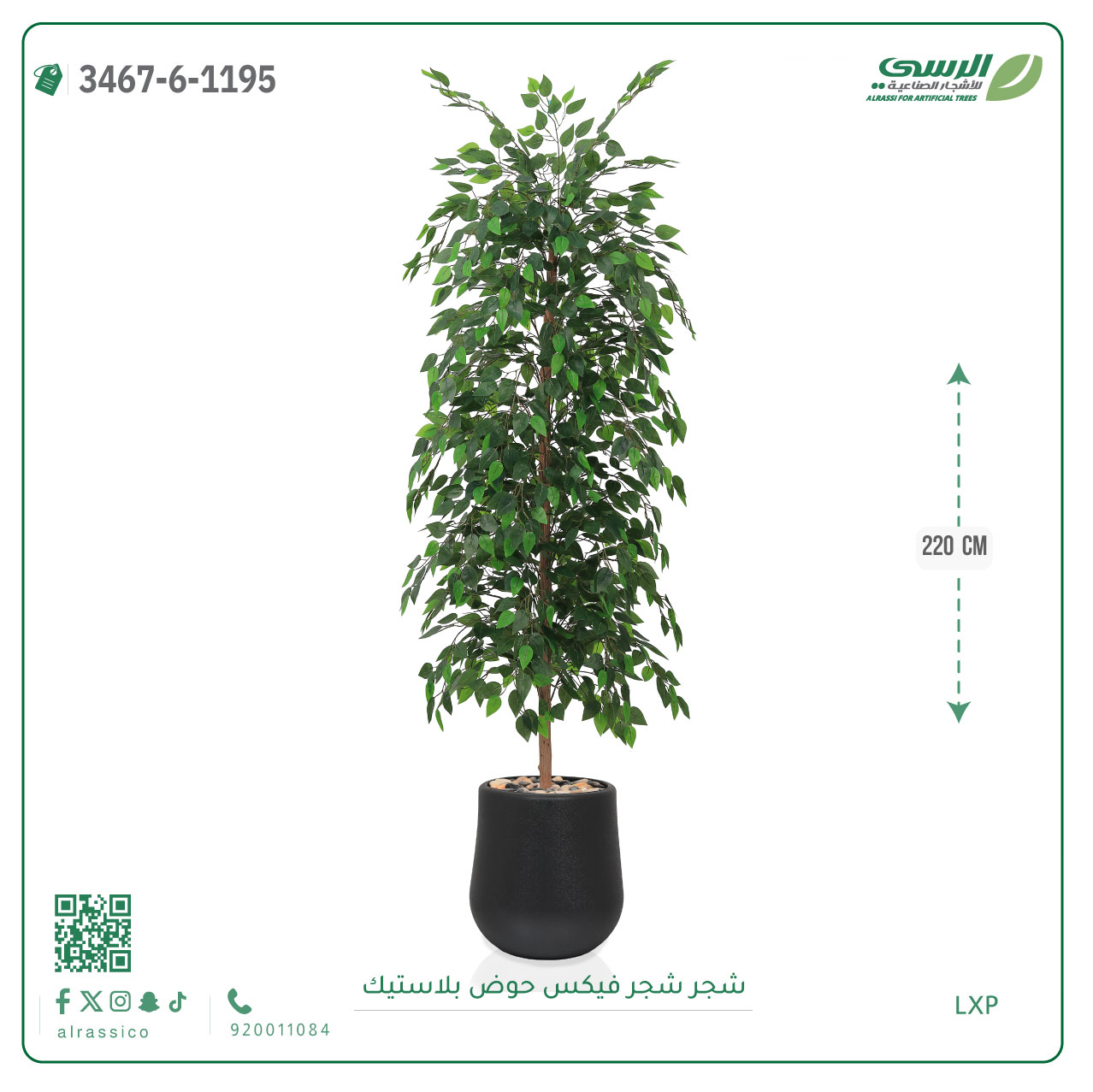  شجرة فيكس صناعية ( ارتفاع 220 سم ) حوض بلاستك 