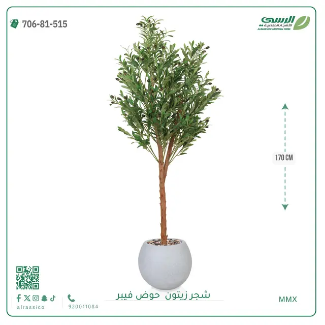  شجر زيتون صناعية ( ارتفاع 170 سم ) حوض فيبر 