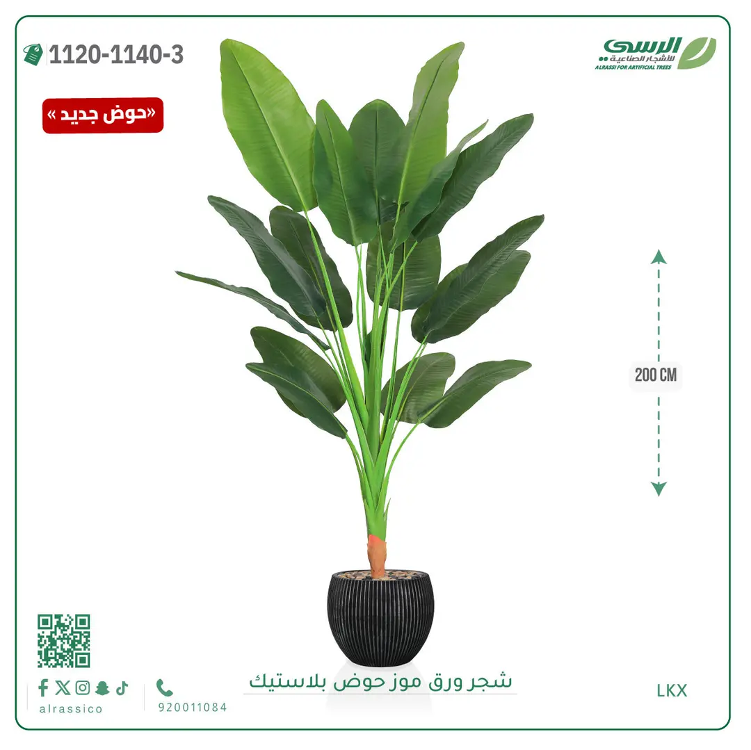  شجرة موز صناعية ( ارتفاع 200 سم ) حوض بلاستيك 