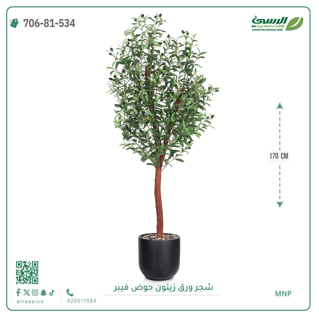  شجرة زيتون صناعية ( ارتفاع 170 سم ) حوض فيبر أسطواني 