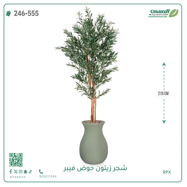  شجر زيتون صناعية ( ارتفاع 215 سم ) حوض فيبر 