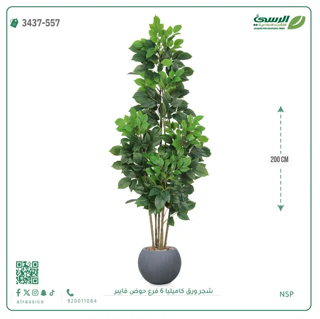  شجرة كاميليا صناعية (ارتفاع 200 سم) 6 فروع حوض فيبر 