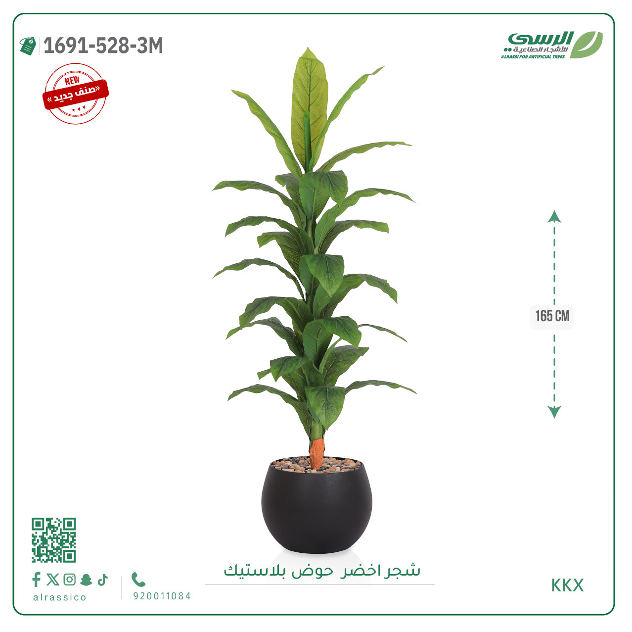   شجرة ورق أخضر وسط بمركن بلاستيك دائرى  