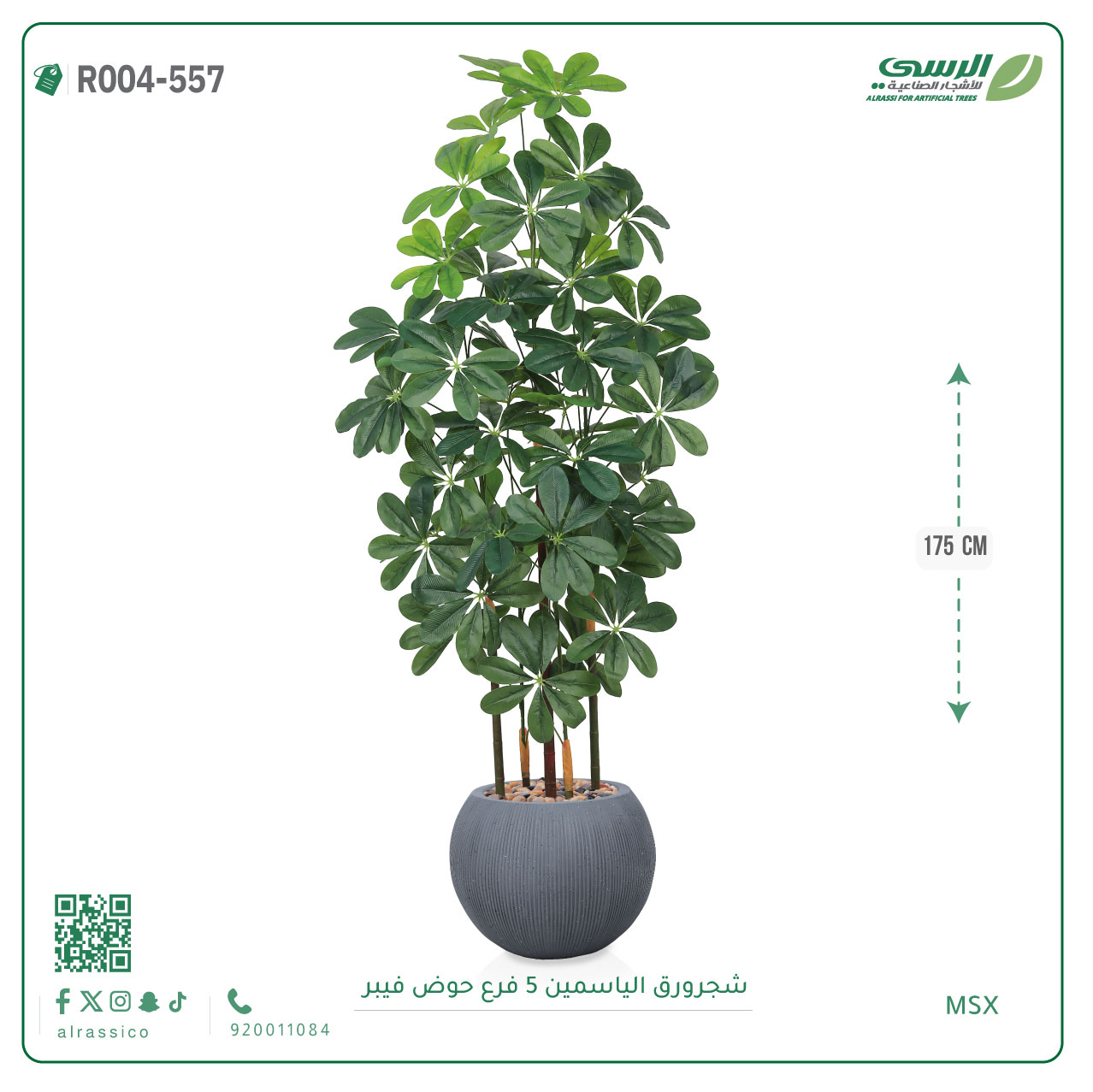  شجرة ورق ياسمين صناعية ( ارتفاع 175 سم ) حوض فيبر مقلم 