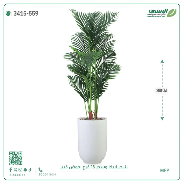  شجرة أريكا صناعية 15 فرع (ارتفاع 200 سم) حوض فيبر 