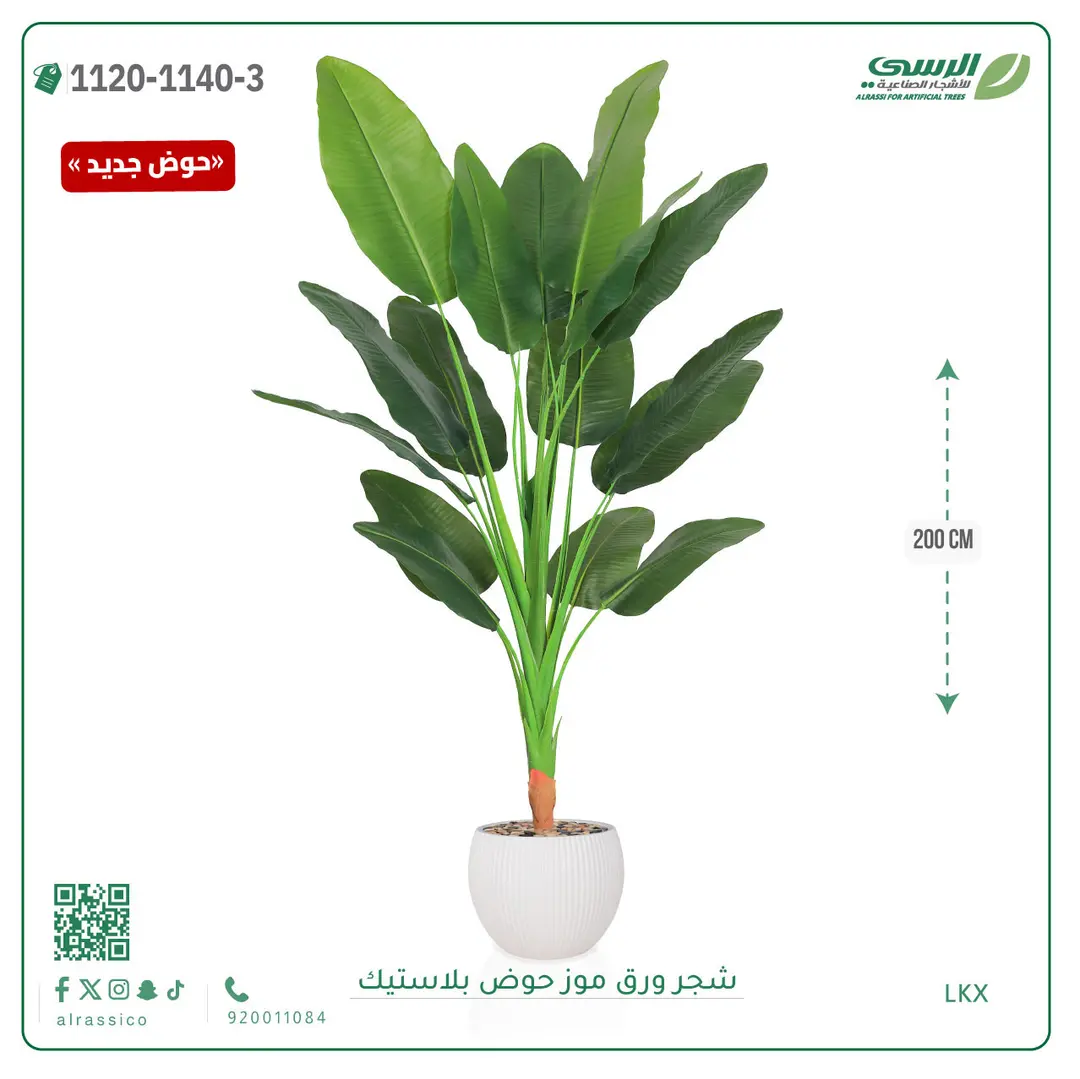  شجرة موز صناعية ( ارتفاع 200 سم ) حوض بلاستيك 