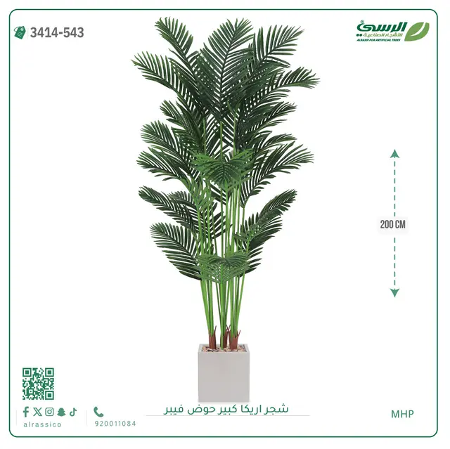  شجر أريكا صناعية ( ارتفاع 200 سم ) حوض فيبر 