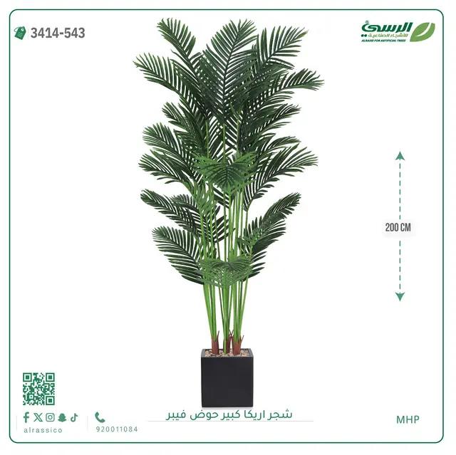  شجر أريكا صناعية ( ارتفاع 200 سم ) حوض فيبر 