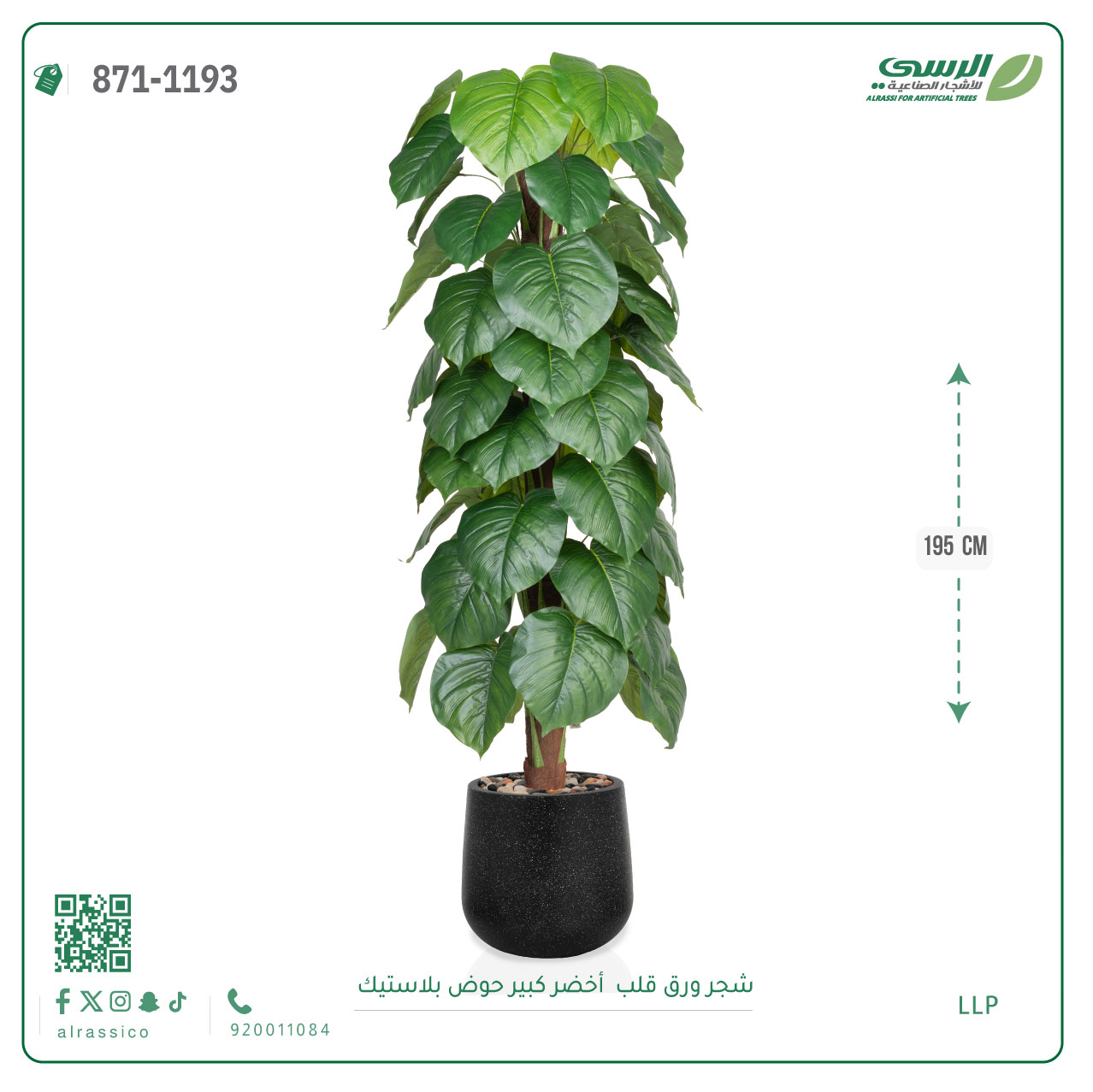  شجرة ورق قلب(ألوكاسيا) اصطناعية ( ارتفاع 195 سم ) حوض بلاستيك 