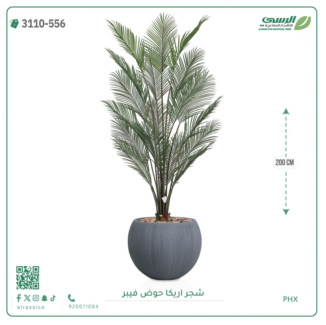 شجرة اريكا صناعية ( ارتفاع 200 سم ) حوض فيبر 