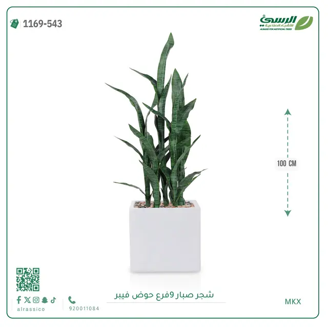  شجر صبار صناعية ( ارتفاع 100 سم ) حوض فيبر 