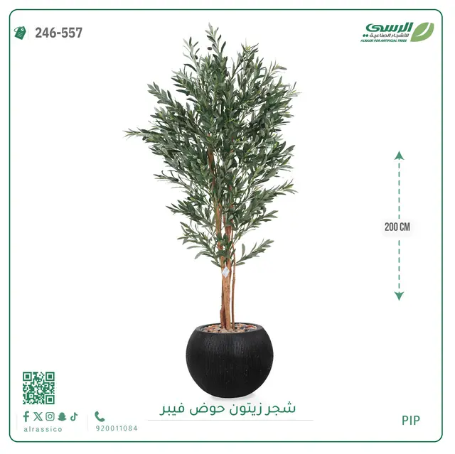  شجر زيتون صناعية ( ارتفاع 200 سم ) حوض فيبر 