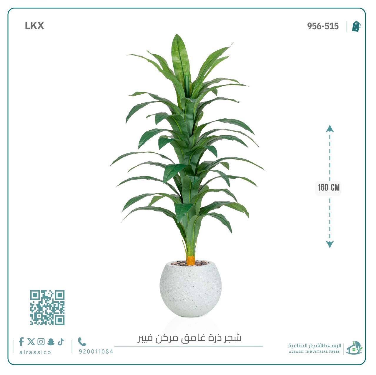  شجرة نبات الذرة (دراسينا) الاصطناعية بمركن فيبر  
