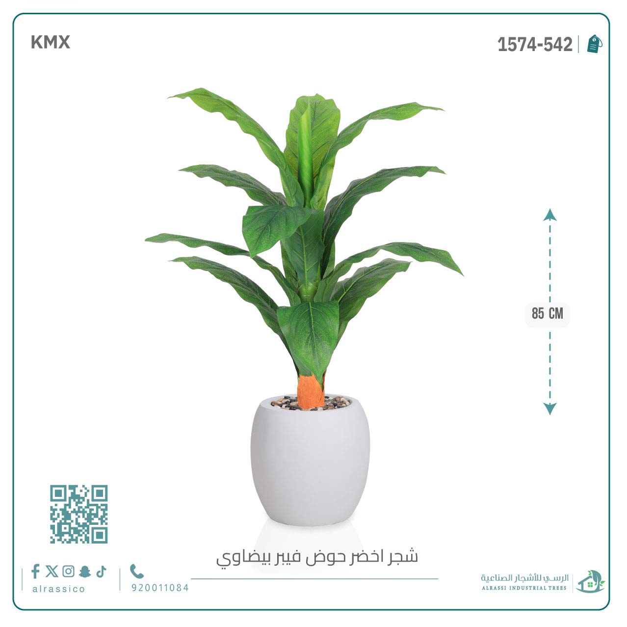  شجرة ورق موز حوض فيبر بيضوي 