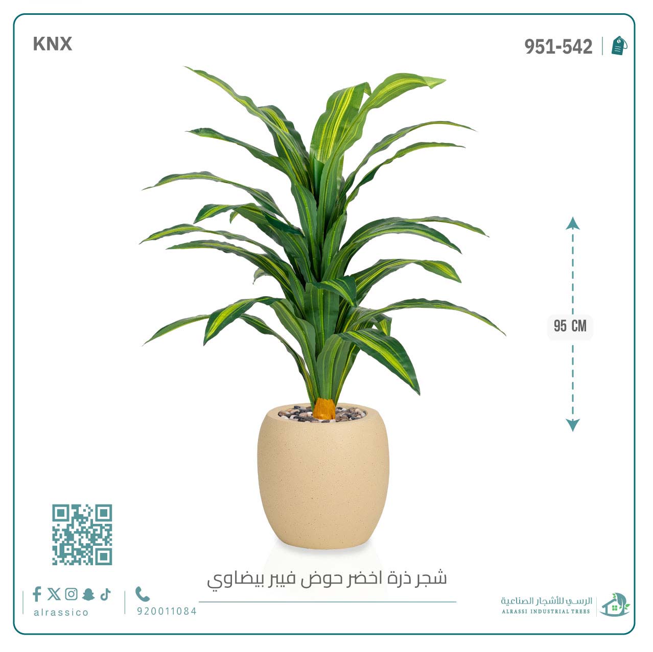  شجرة ذرة خضراء بمركن فيبر بيضاوى  