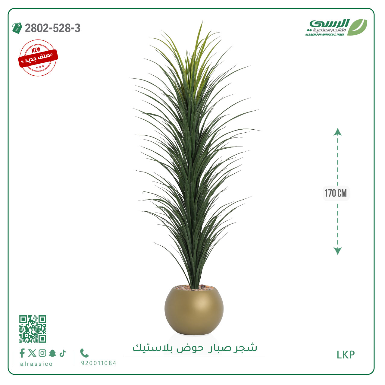   شتلة صبار بمركن بلاستيك دائري 