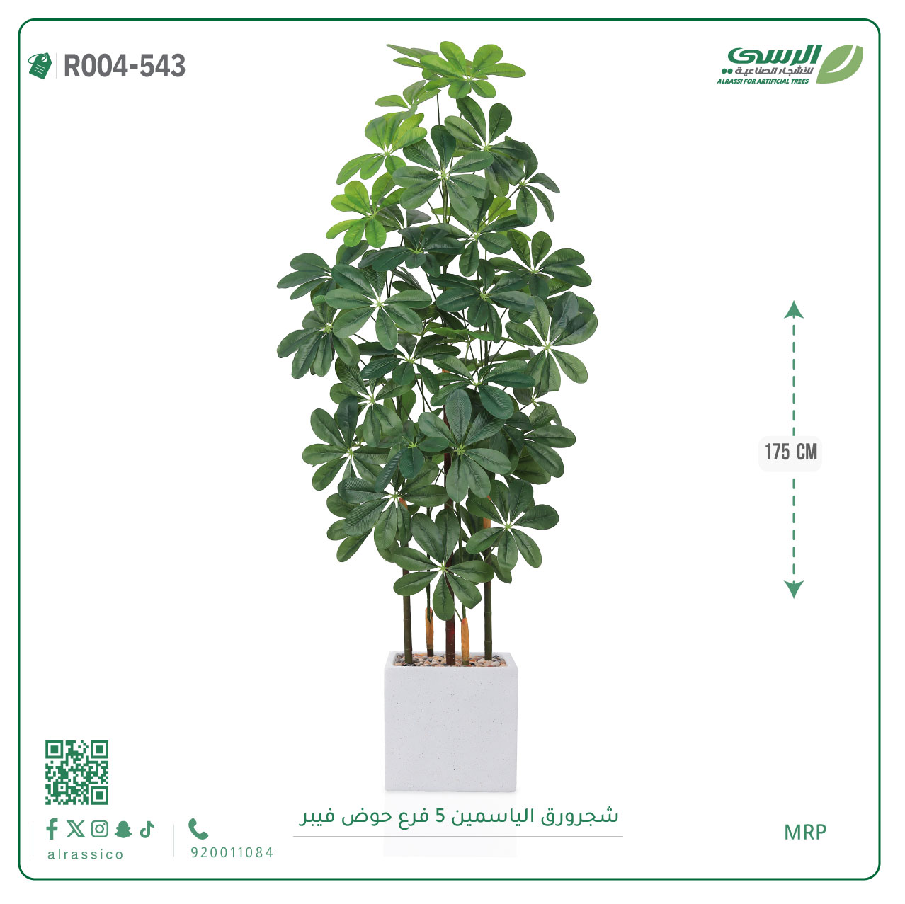  شجرة ورق ياسمين صناعية ( ارتفاع 175 سم ) حوض فيبر مربع 