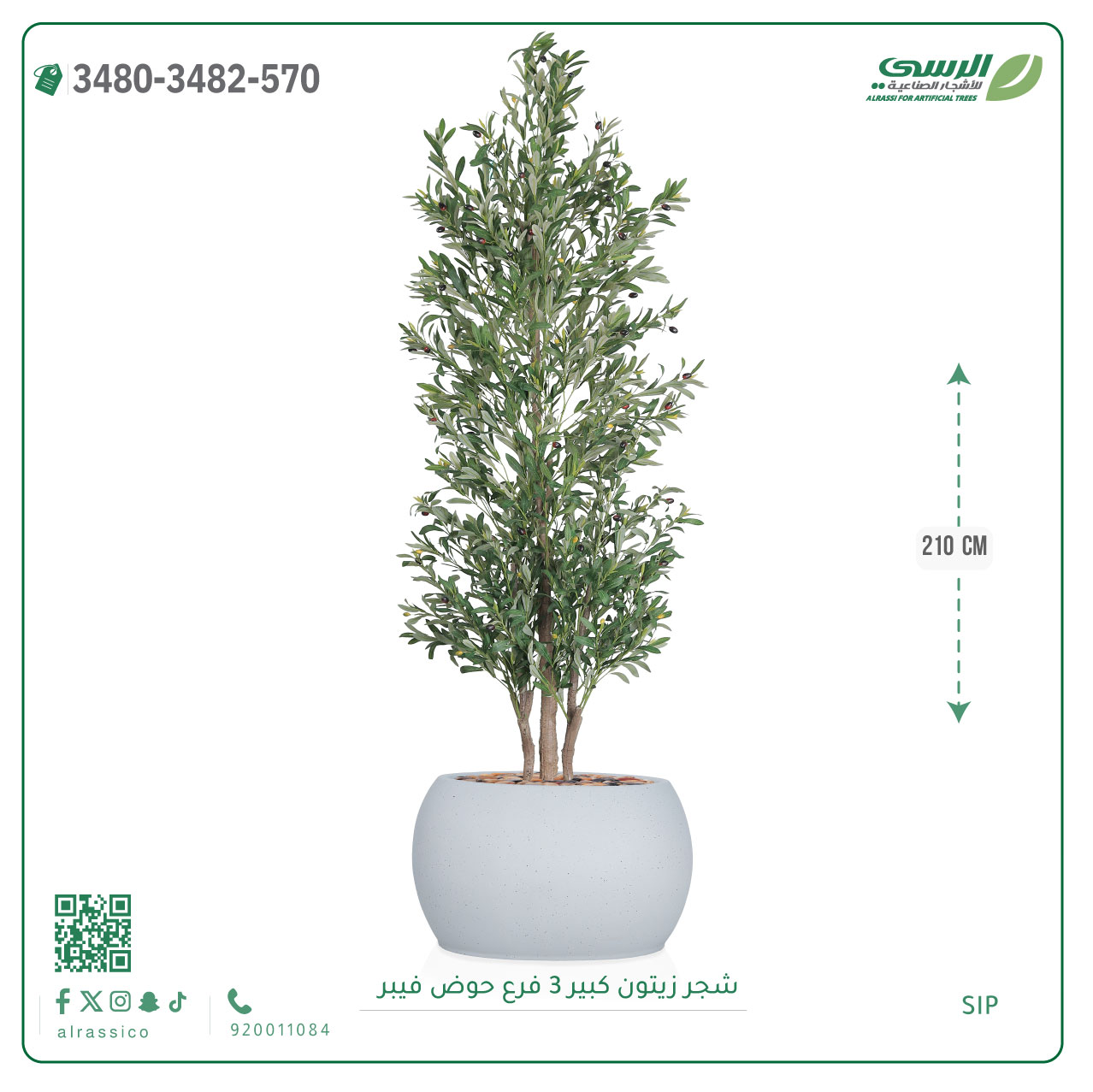  شجرة زيتون صناعية ( ارتفاع 240 سم ) حوض فيبر 