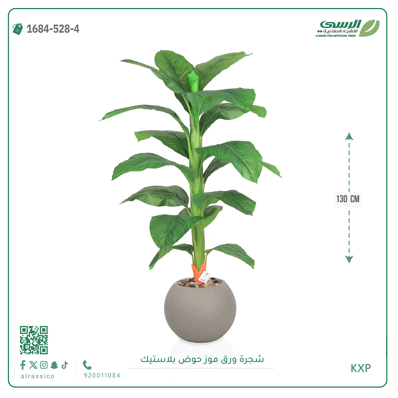  شجرة ورق موز متوسطة بمركن بلاستيك دائرى  