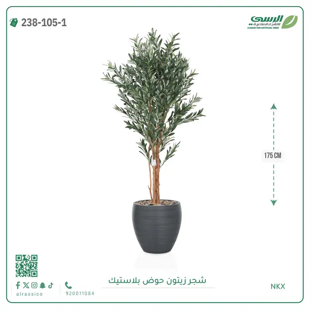  شجرة زيتون صناعية ( ارتفاع 175 سم ) حوض بلاستيك 