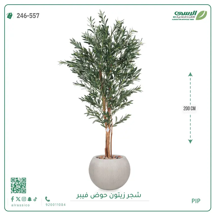  شجر زيتون صناعية ( ارتفاع 200 سم ) حوض فيبر 