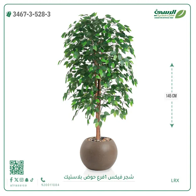 شجر فيكس صناعية (ارتفاع 145 سم) حوض بلاستيك 