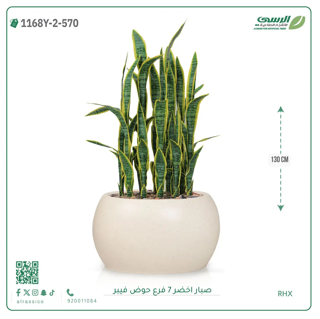  صبار صناعية ( ارتفاع 130 سم ) حوض فيبر 