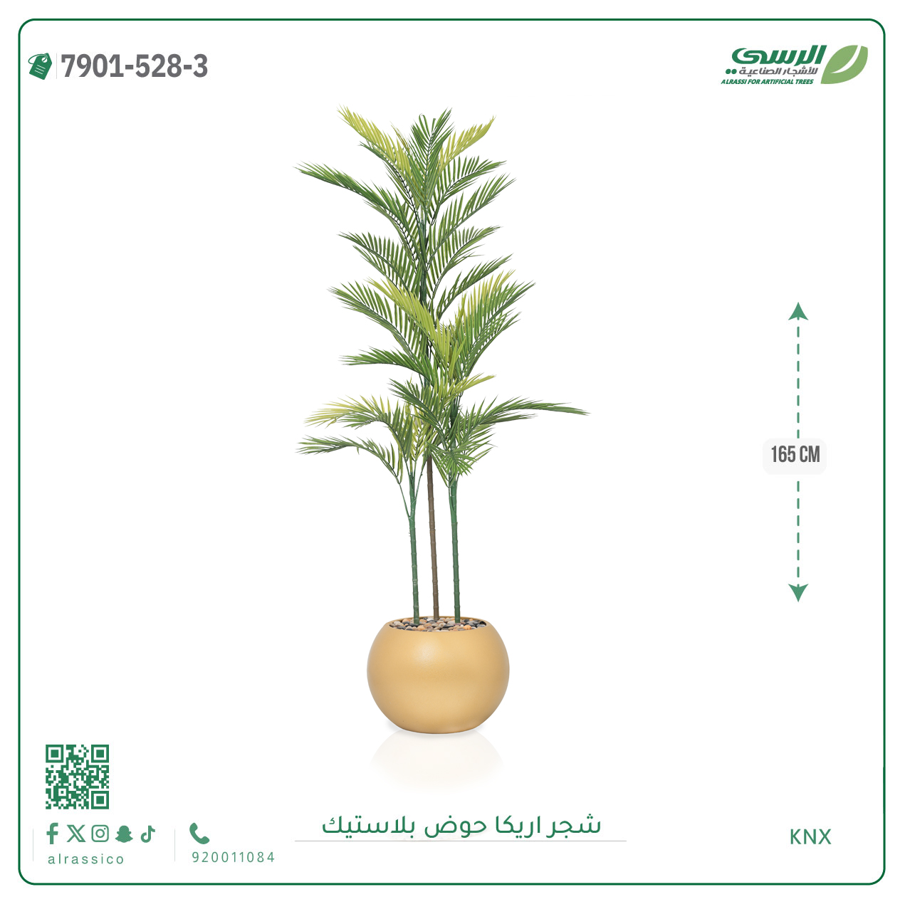  شجرة اريكا صناعية ( ارتفاع 165 سم ) حوض بلاستك 