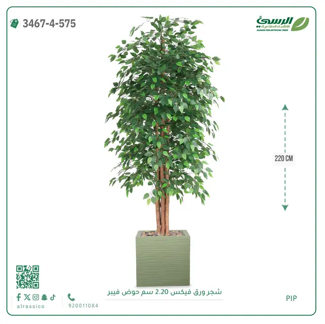  شجر فيكس صناعية (ارتفاع 220 سم) حوض فيبر 