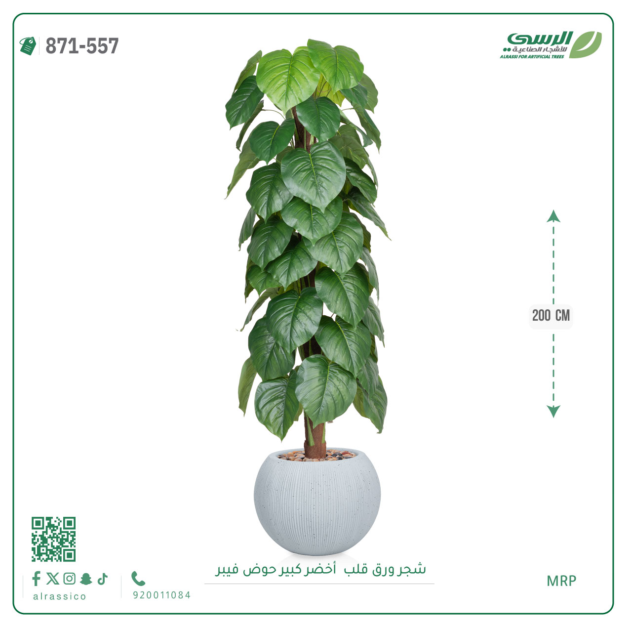  شجرة ورق قلب اصطناعية ( ارتفاع 200 سم ) حوض فايبر 