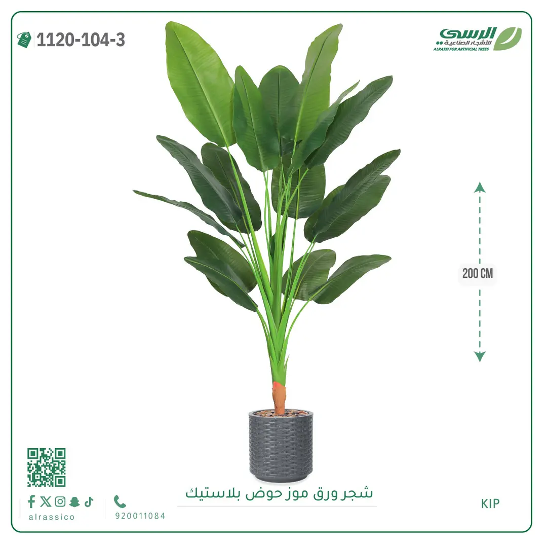  شجرة موز صناعية ( ارتفاع 200 سم ) حوض بلاستيك 