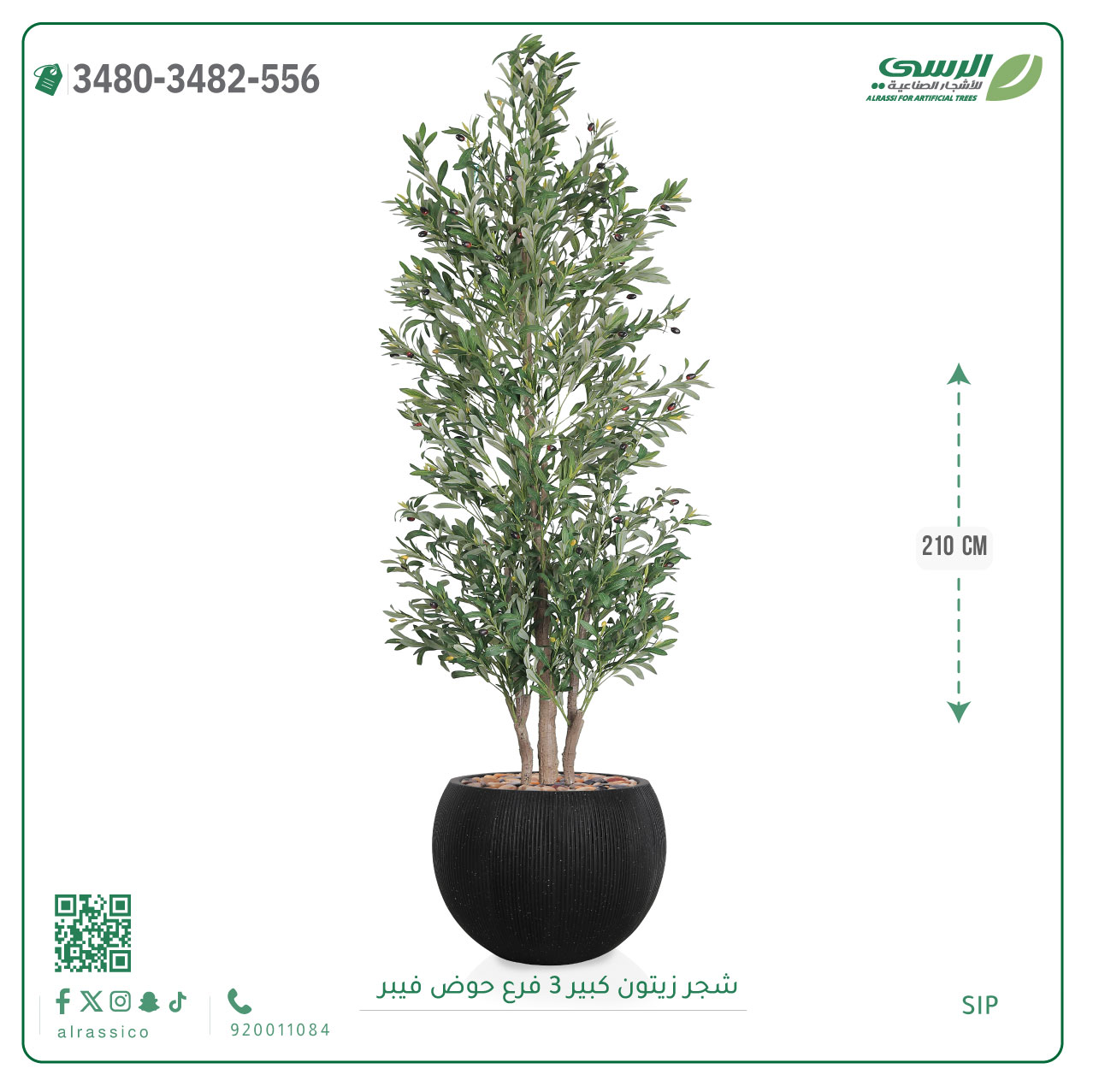  شجرة زيتون صناعية (ارتفاع 210 سم) حوض فيبر 