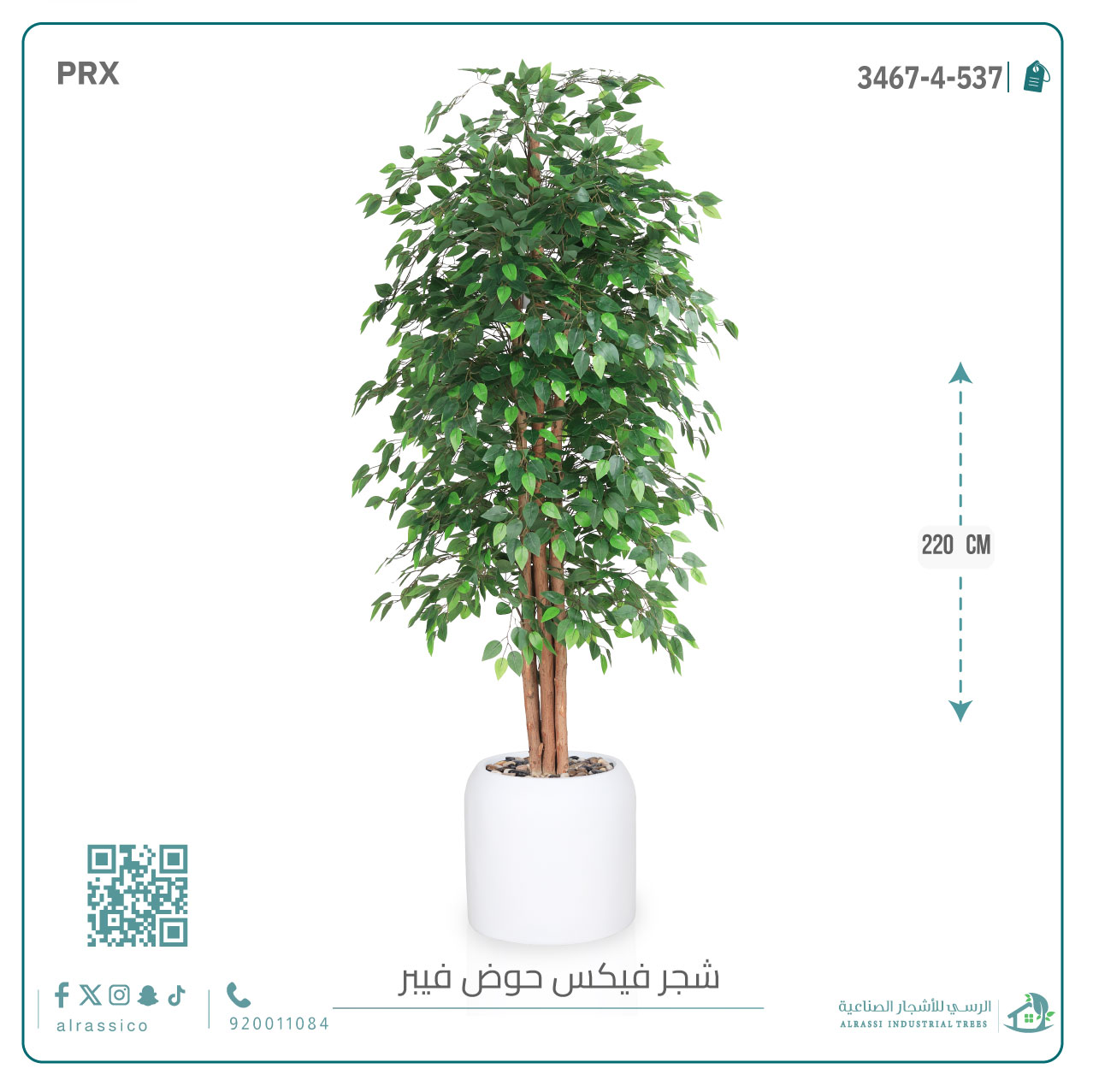  شجرة ورق فيكس اصطناعية بمركن فيبر  أسطواني 