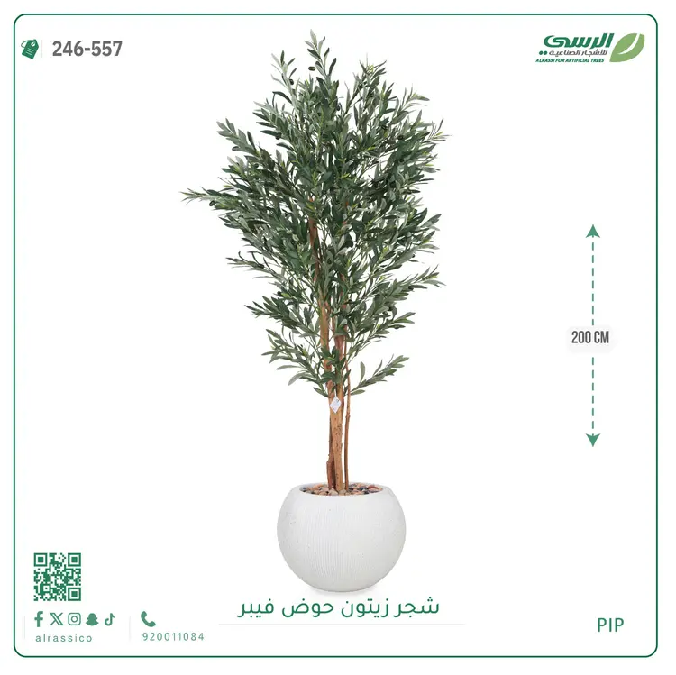  شجر زيتون صناعية ( ارتفاع 200 سم ) حوض فيبر 