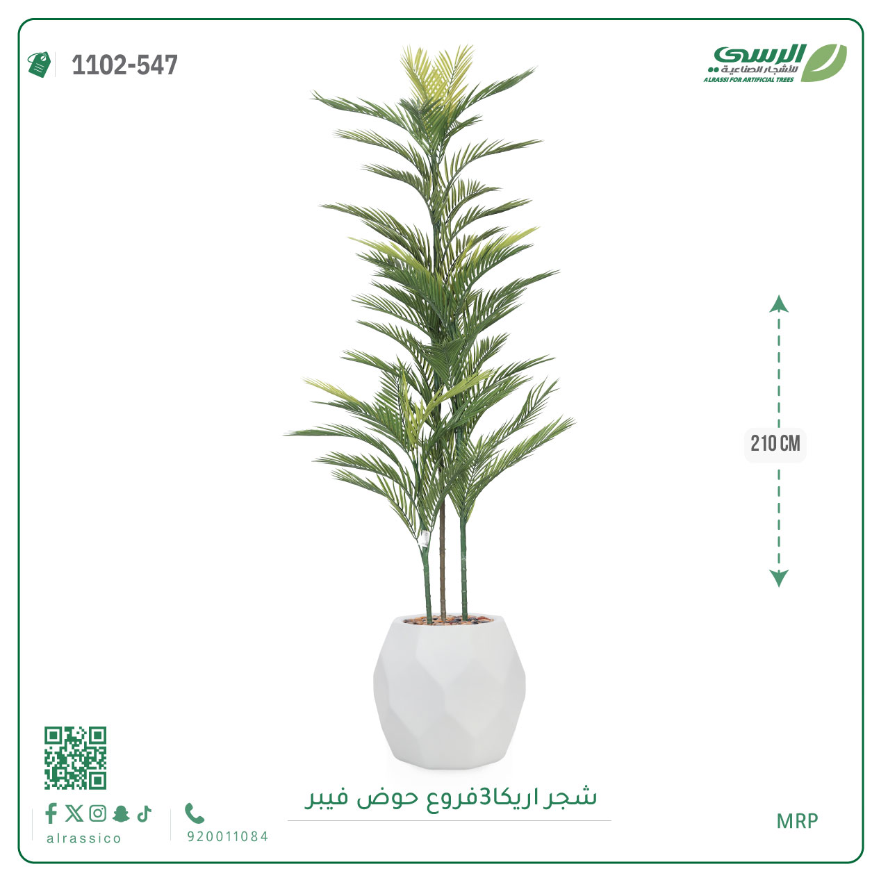  شجرة أريكا اصطناعية (3 فرع) بمركن فيبر 