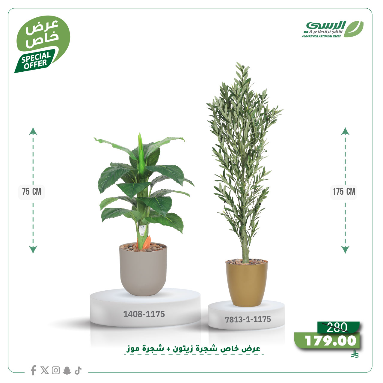  عرض شجرة زيتون صناعية ( ارتفاع 175 سم ) + شجرة ورق موز صناعية ( ارتفاع 75 سم ) حوض بلاستيك 