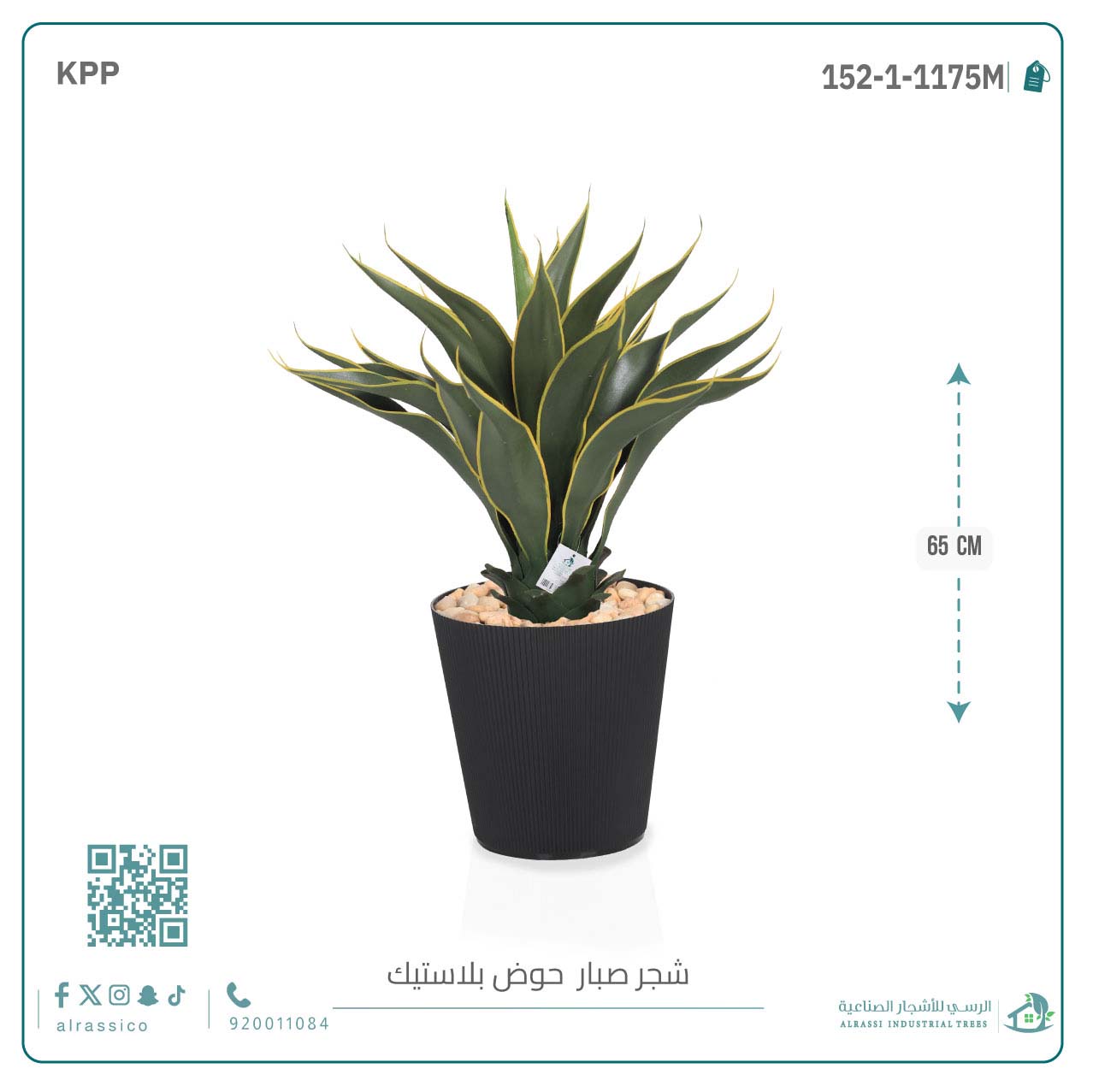  صبار ذيل الثعلب الصناعي بمركن بلاستيك اسطوانى  