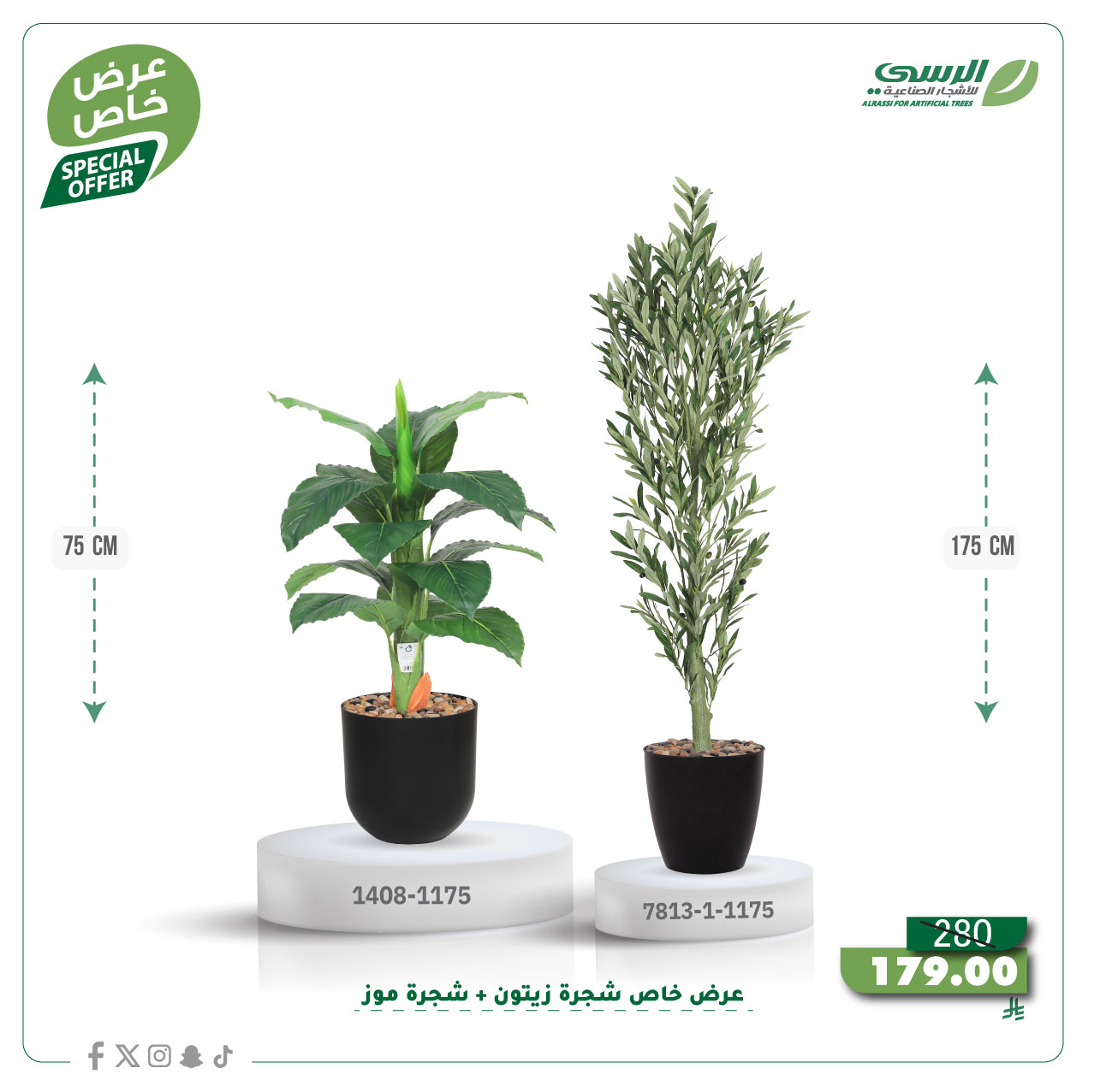  عرض شجرة زيتون صناعية ( ارتفاع 175 سم ) + شجرة ورق موز صناعية ( ارتفاع 75 سم ) حوض بلاستيك 