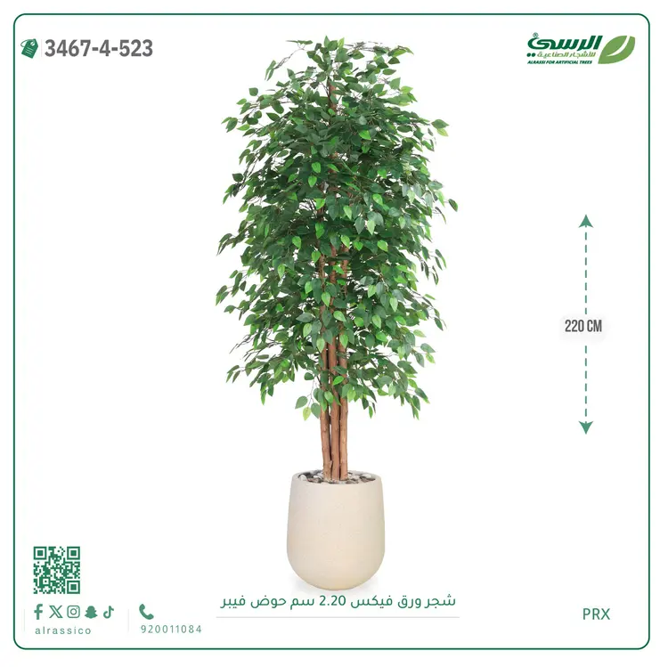  شجر فيكس صناعية (ارتفاع 220 سم) حوض فيبر 