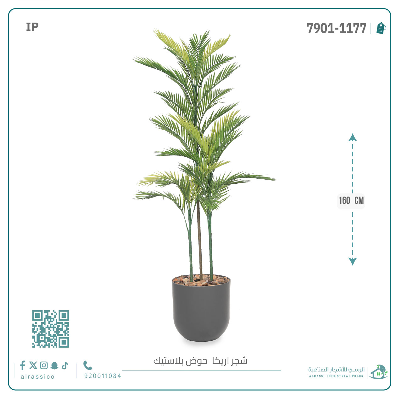  نخلة أريكا صناعية ( ارتفاع 160 سم ) حوض بلاستيك أسطواني 