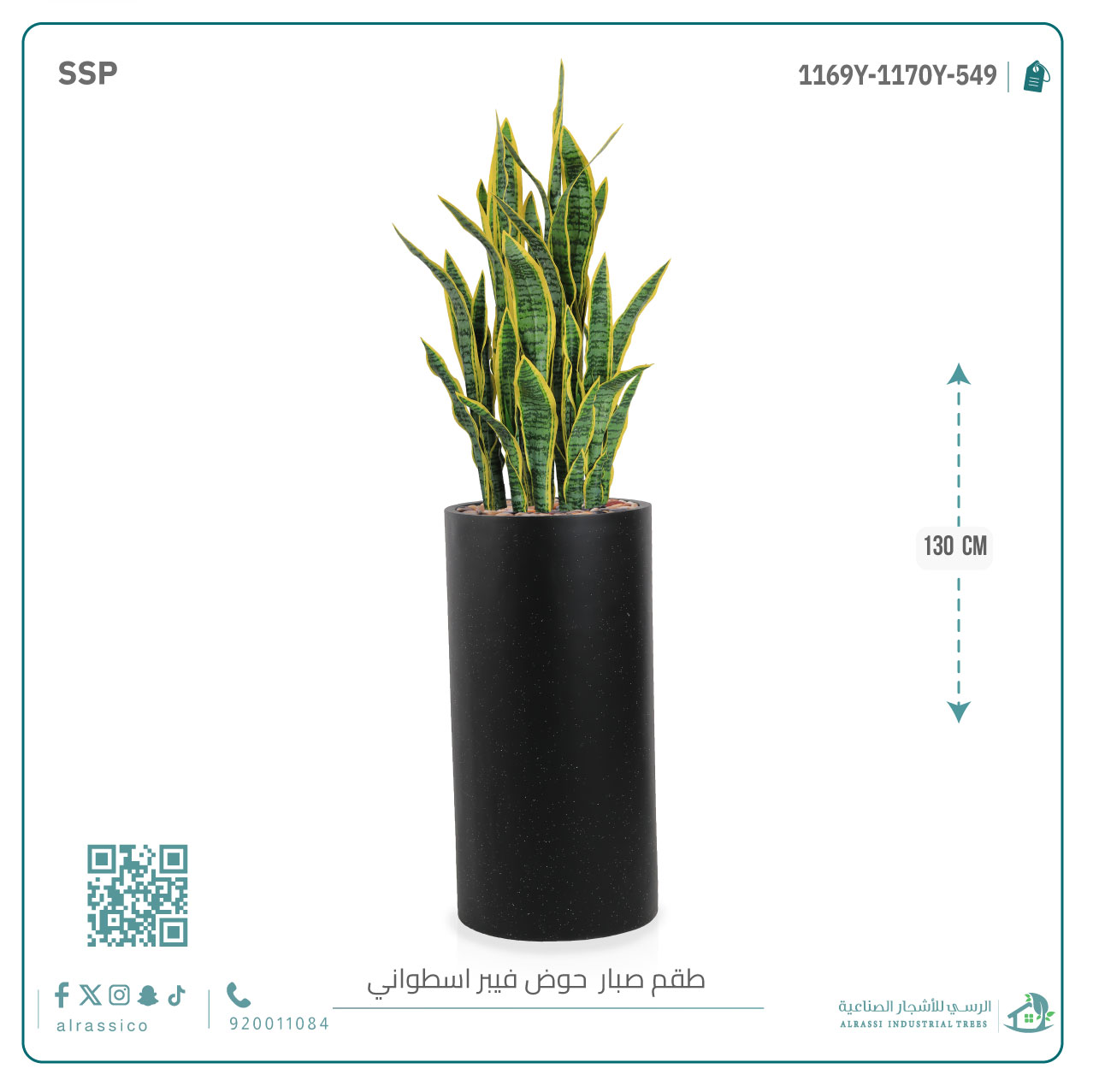   صبار سنسفيرا  أصفر (9 فروع) بمركن فيبر أسطواني 