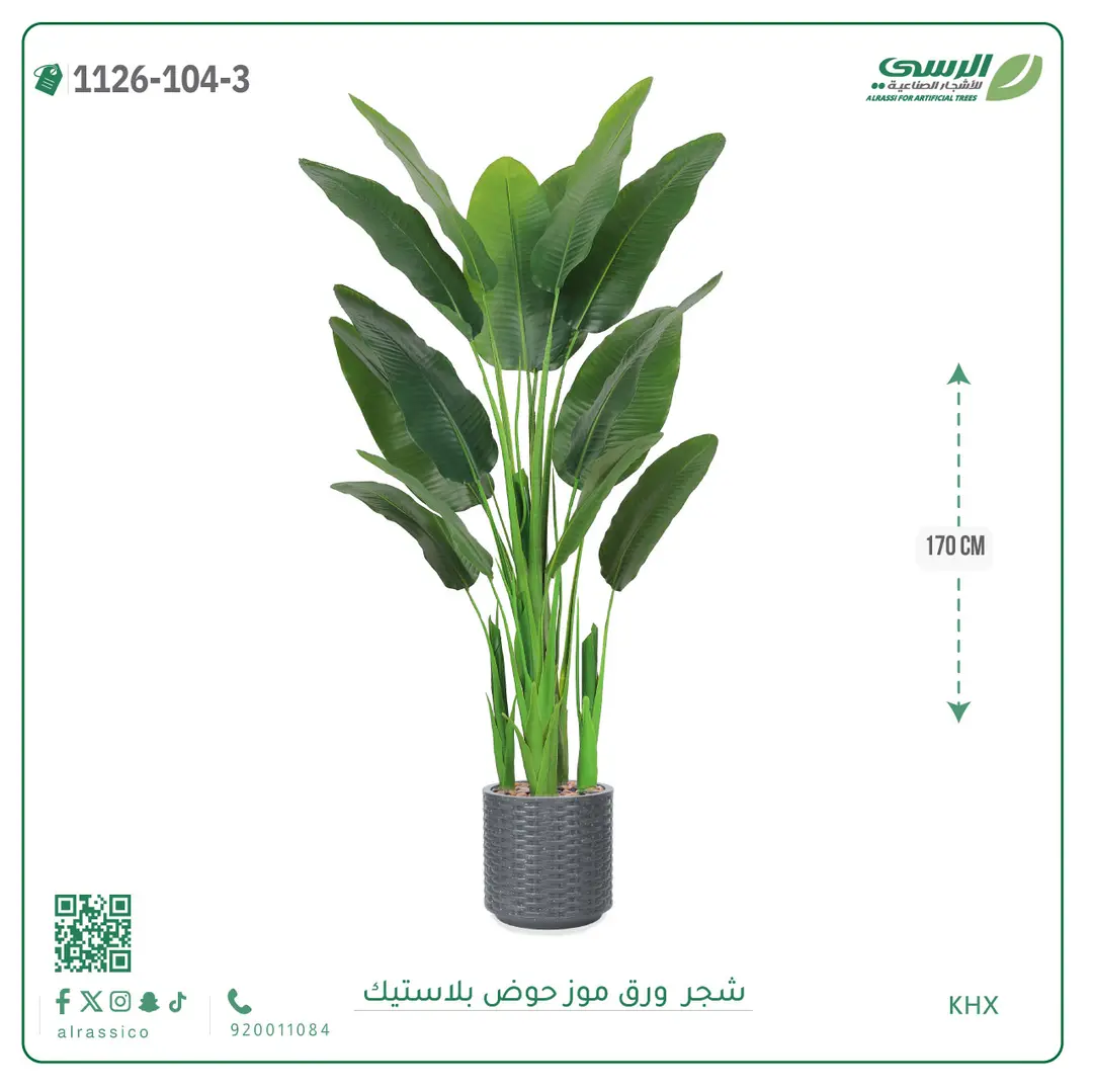  شجرة موز صناعية ( ارتفاع 170 سم ) حوض بلاستيك 